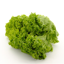 Alface Crespa