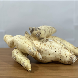 Batata Doce Branca