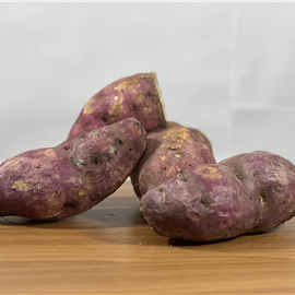 Batata Doce Roxa