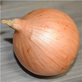 Cebola Nacional