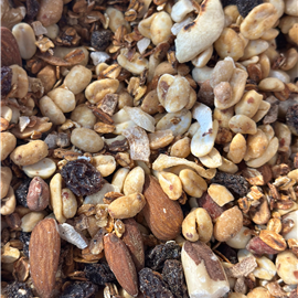 Granola Especial