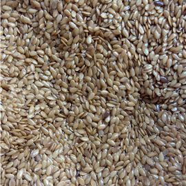 Gro de Bico 12mm