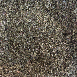 Organo Argentino