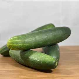 Pepino