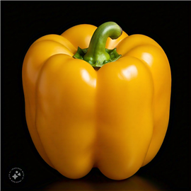 Pimento Amarelo