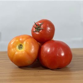 Tomate
