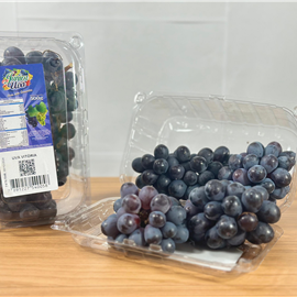 Uva Roxa Cumbuca 500gr